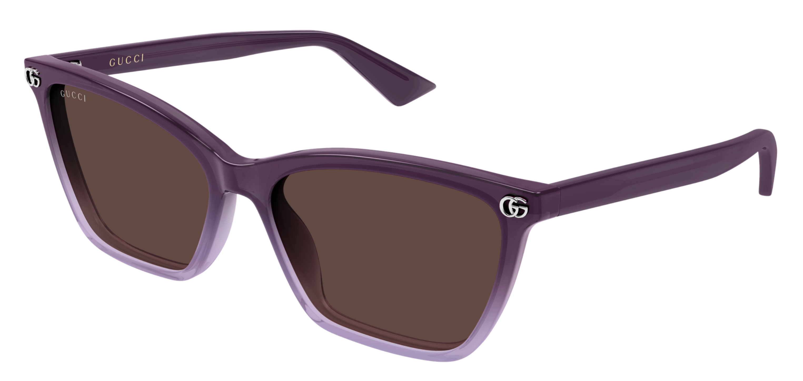 Gucci Emblem GG2111S