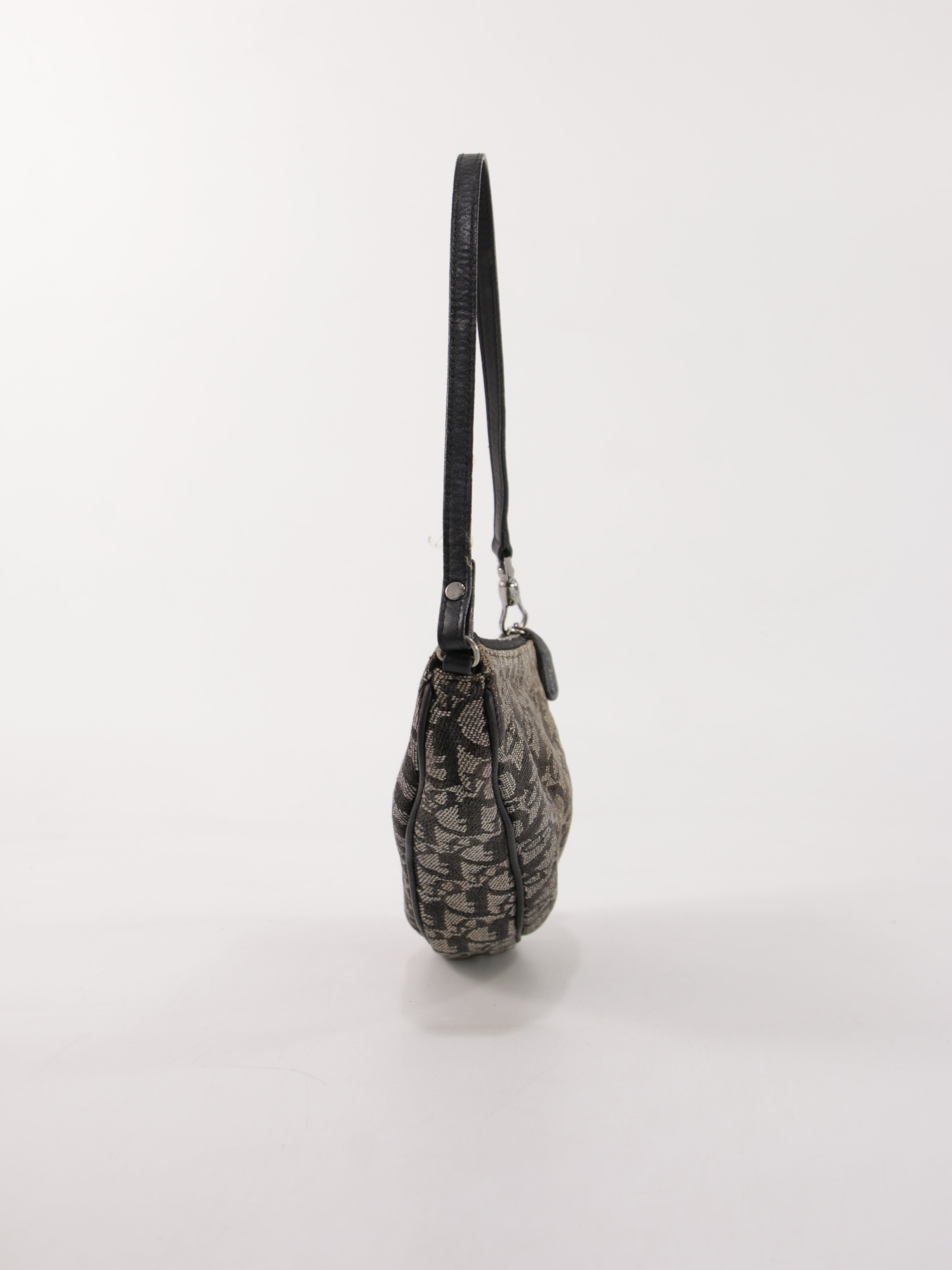 Christian Dior Saddle Pochette