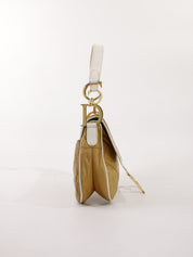 Christian Dior Saddle