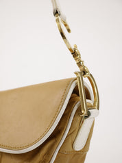 Christian Dior Saddle