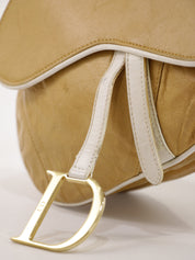 Christian Dior Saddle
