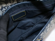 Christian Dior Saddle