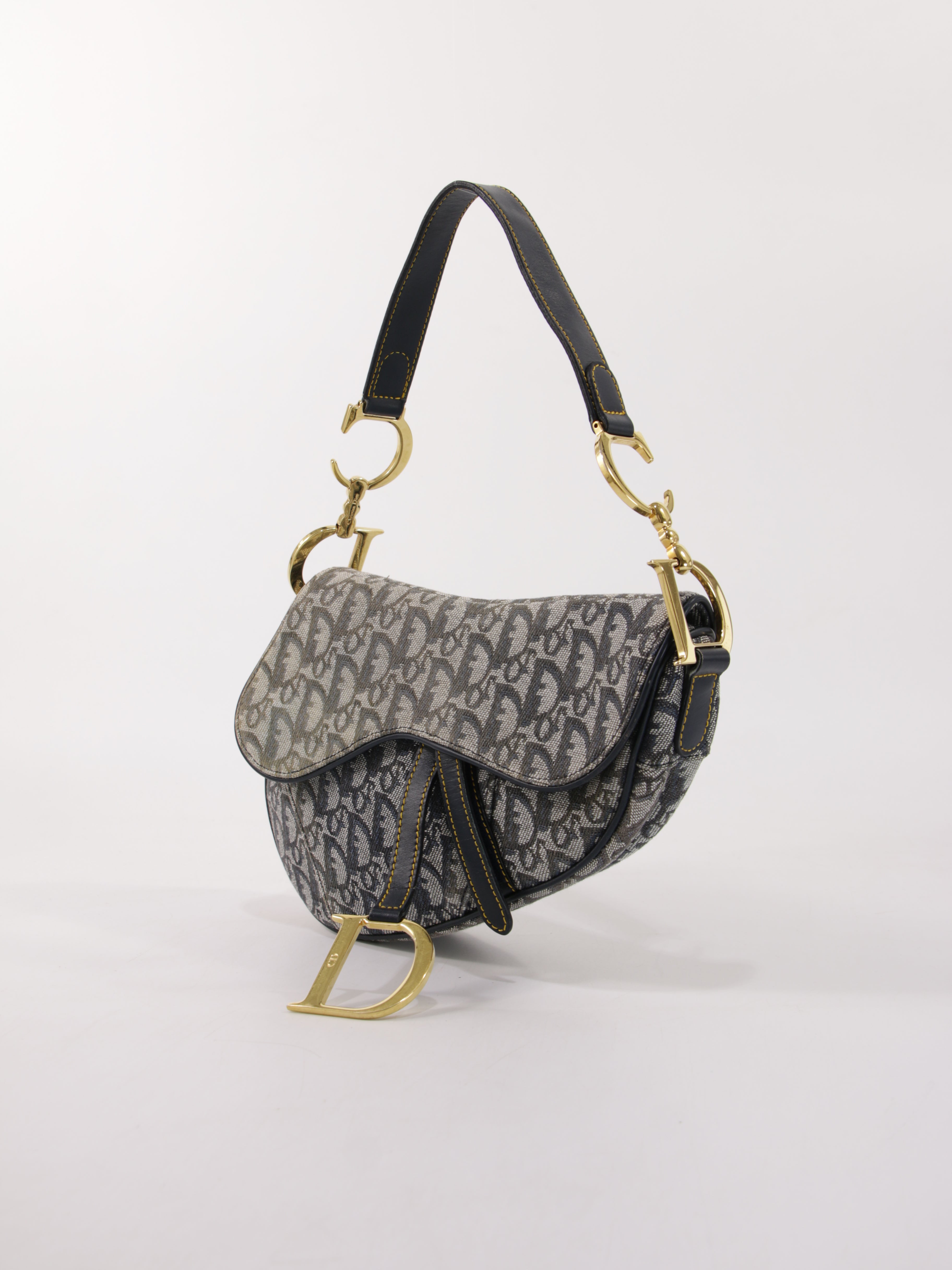 Christian Dior Saddle