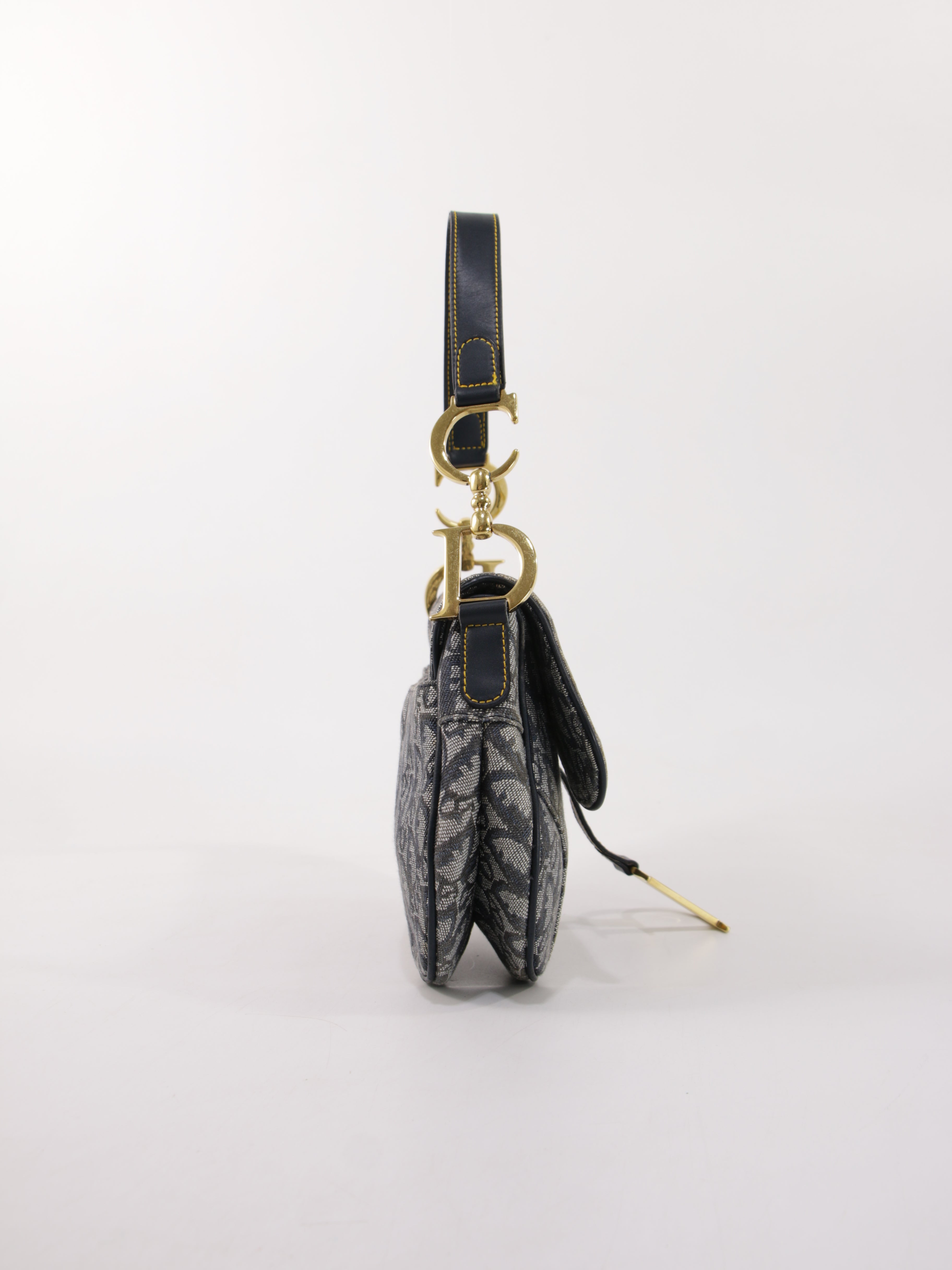 Christian Dior Saddle