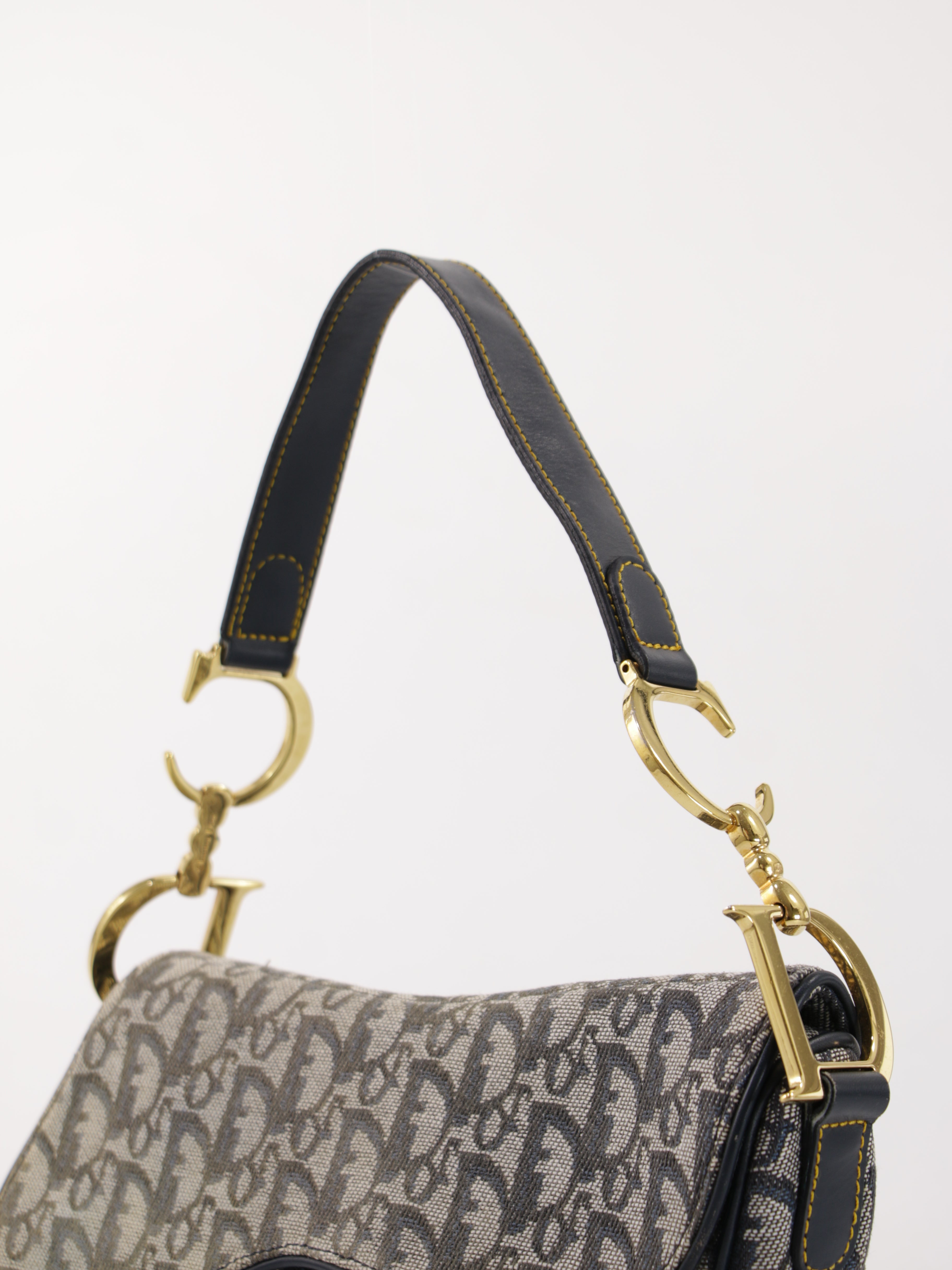 Christian Dior Saddle