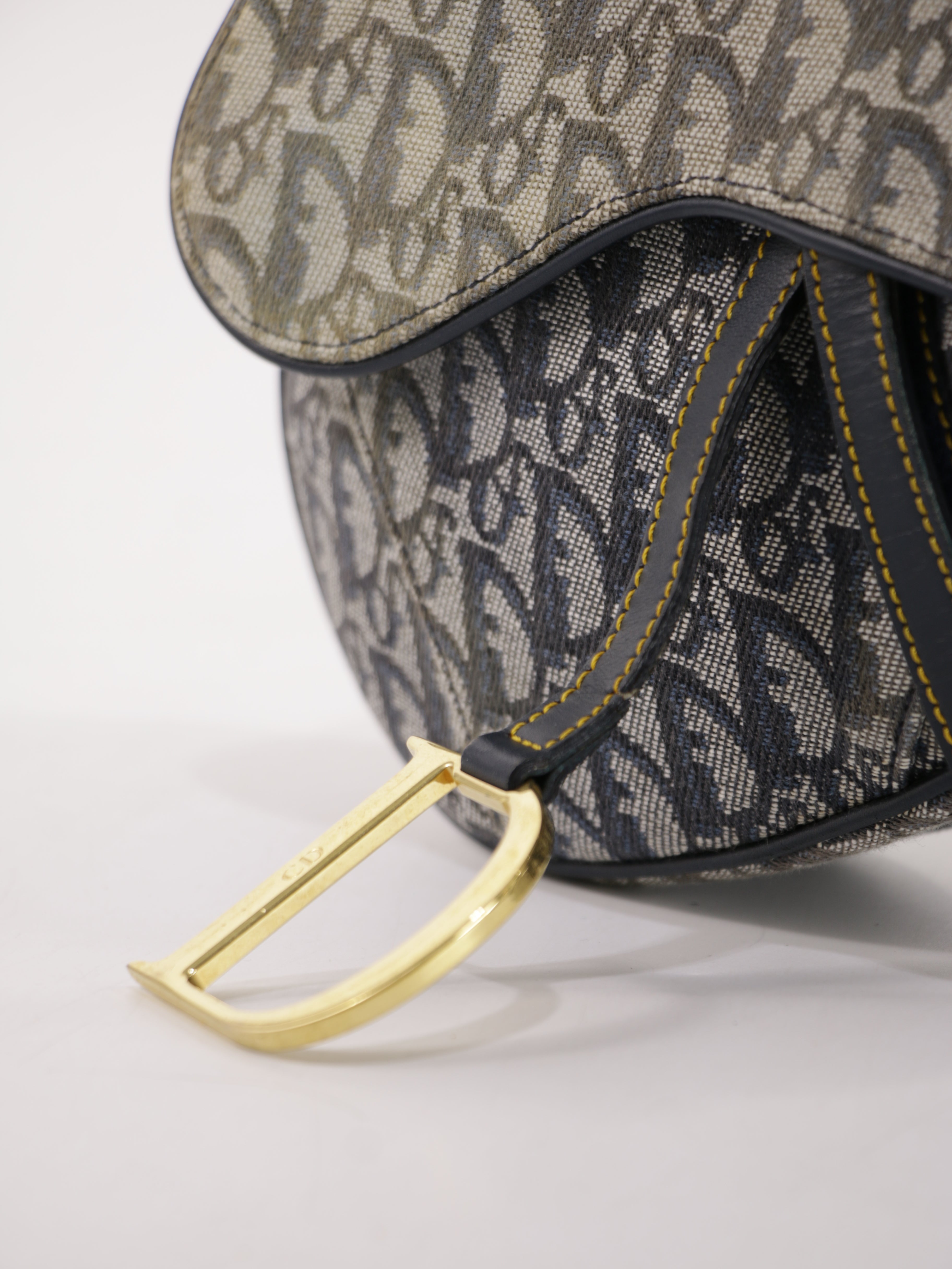 Christian Dior Saddle