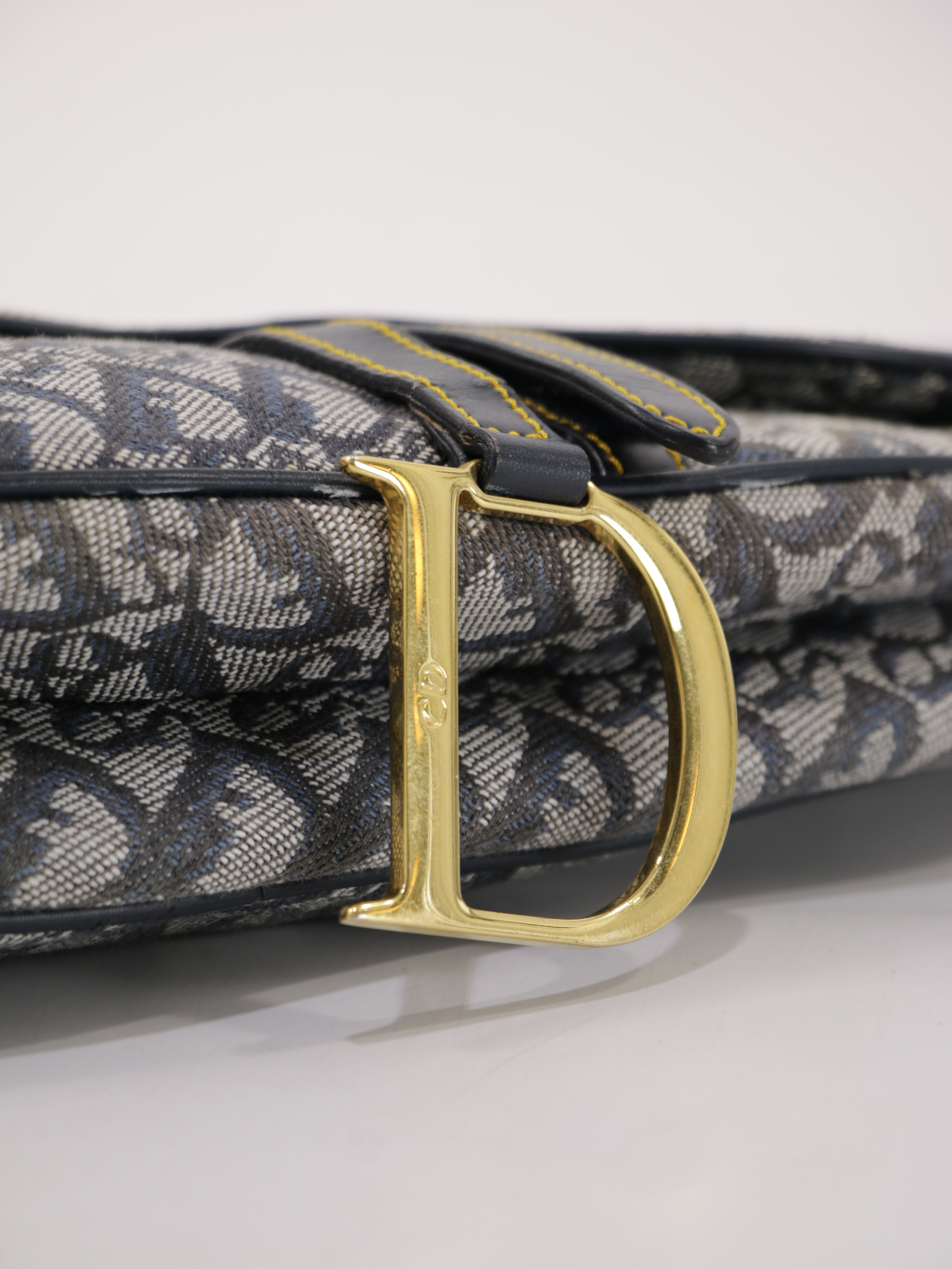 Christian Dior Saddle