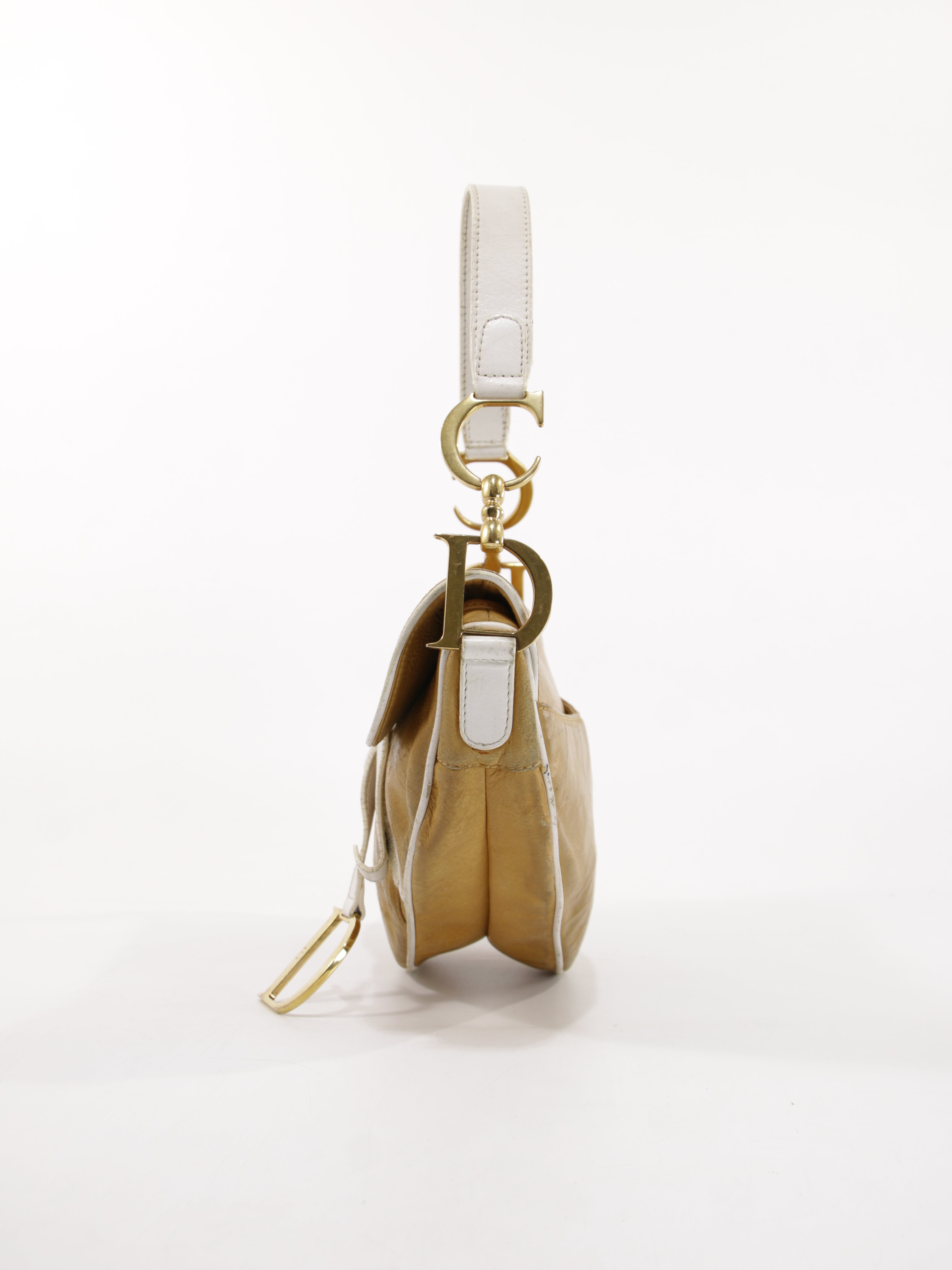 Christian Dior Saddle