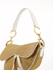 Christian Dior Saddle