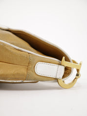 Christian Dior Saddle