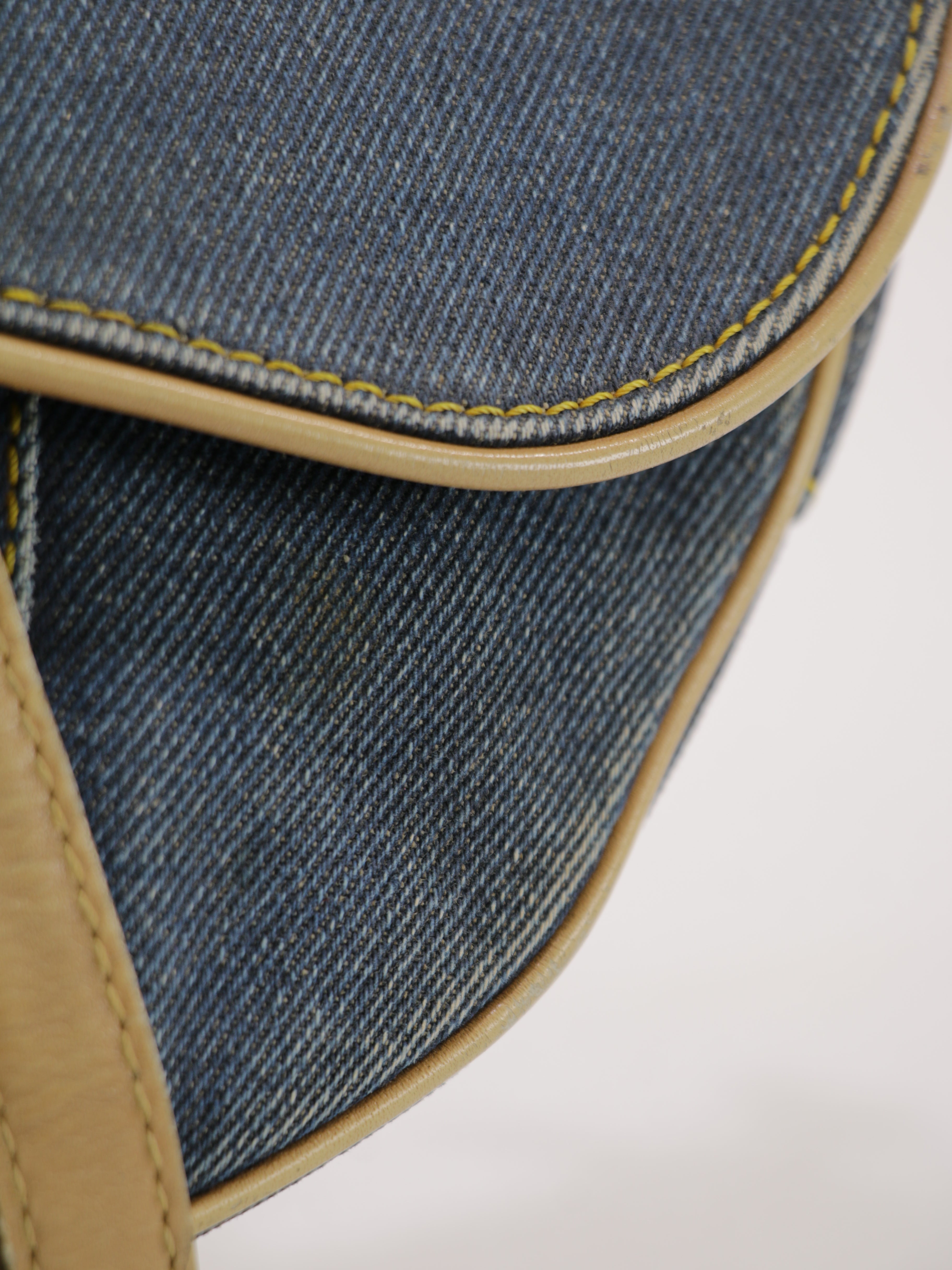 Christian Dior Saddle