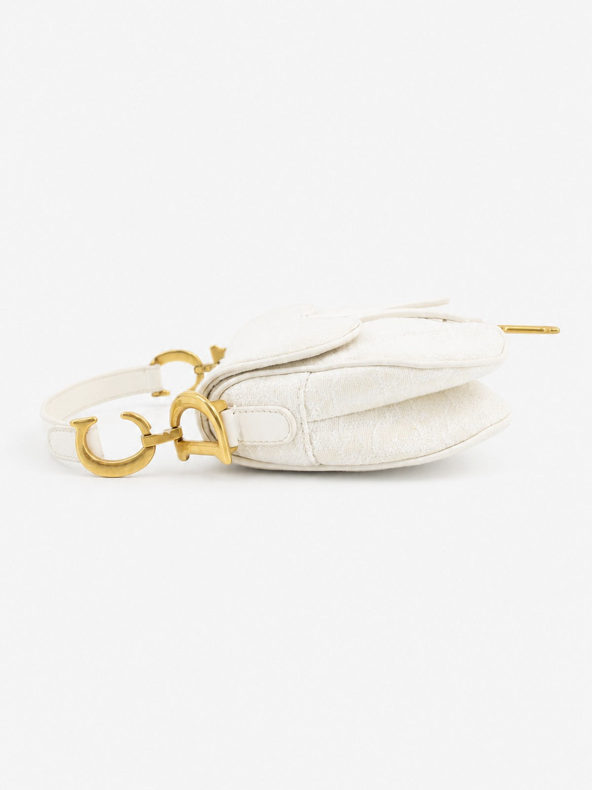 Christian Dior Mini Saddle