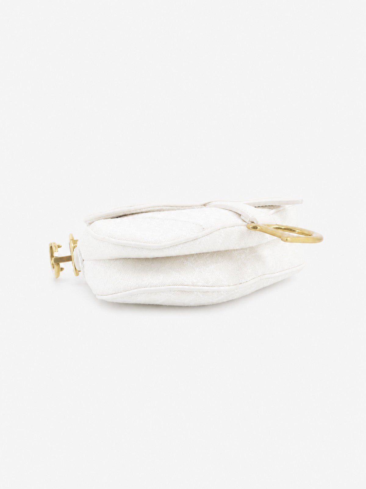 Christian Dior Mini Saddle