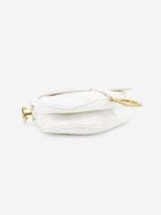 Christian Dior Mini Saddle
