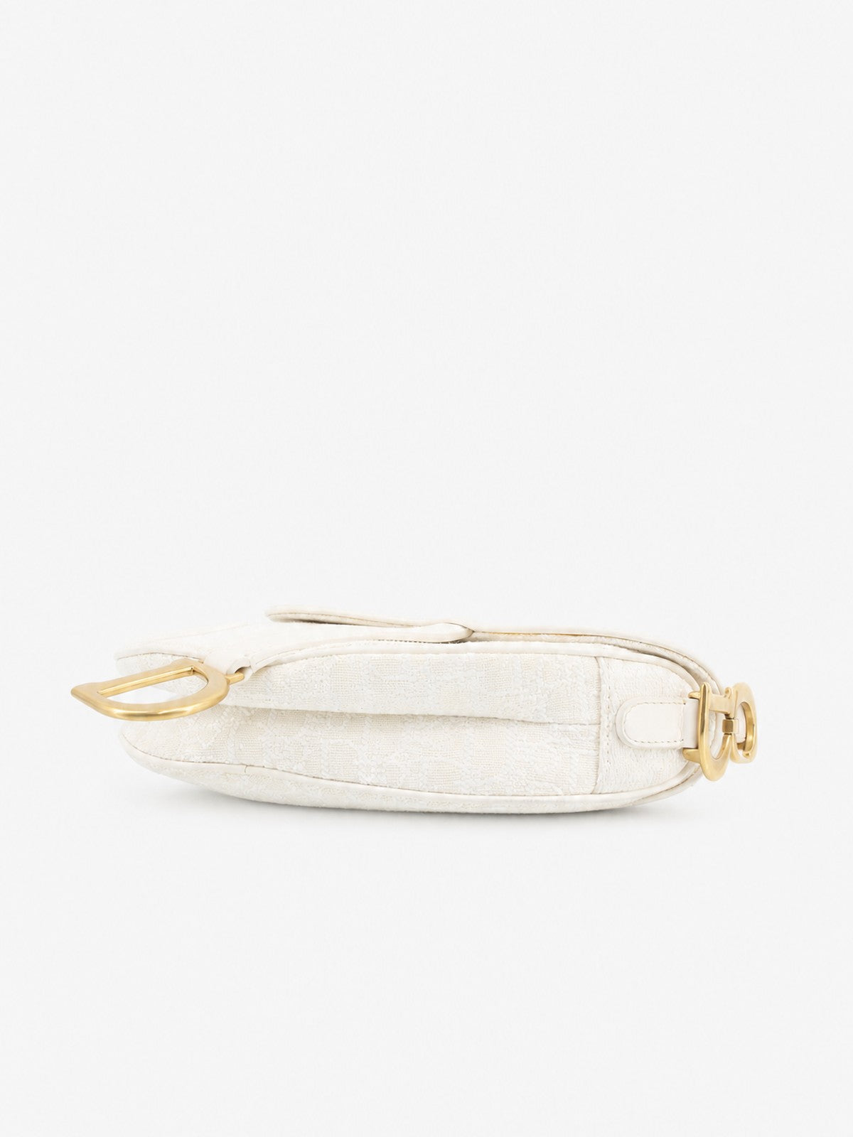 Christian Dior Mini Saddle